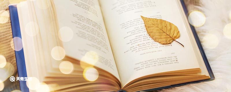 欲知山中事 第1张