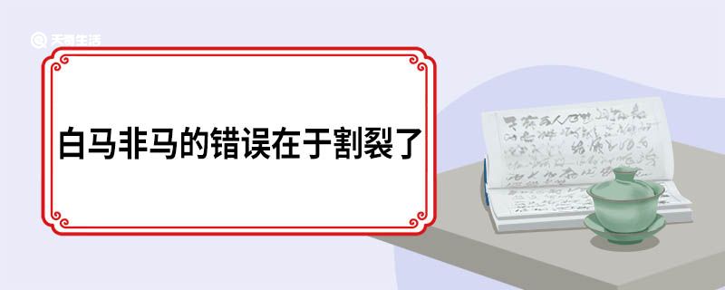 白马非马的错误在于
