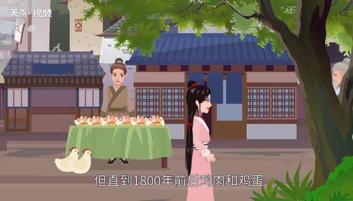 鸡忘记 第1张