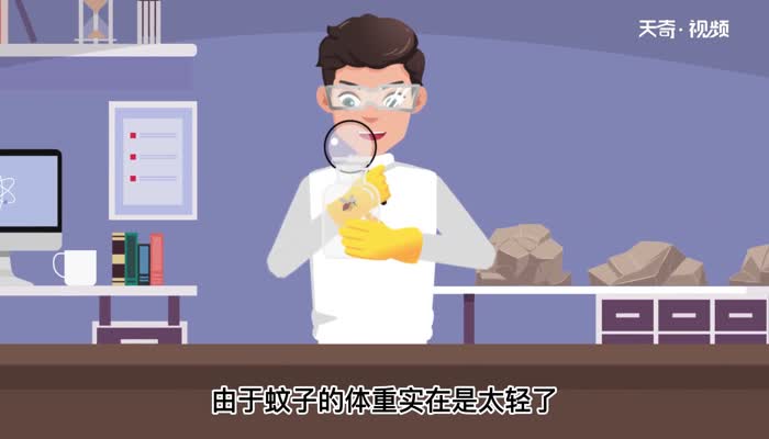 为什么蚊子不会被雨滴砸死 第1张