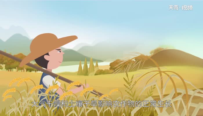 立夏节气的天气特点 第2张