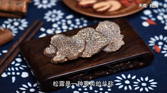 松露是什么东西 第1张