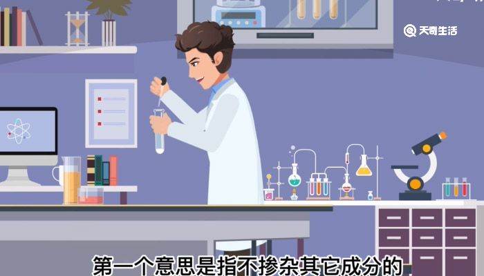 纯粹的意思 第1张