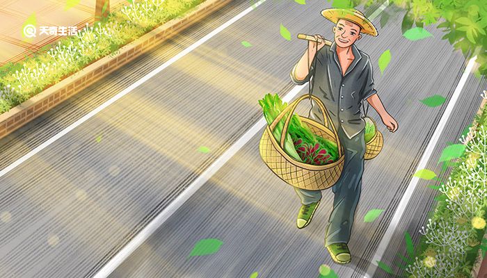 什么是三农 第2张