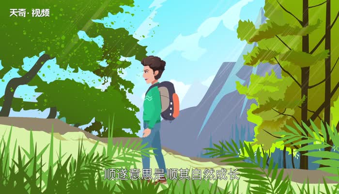 万事顺遂是什么意思 第2张