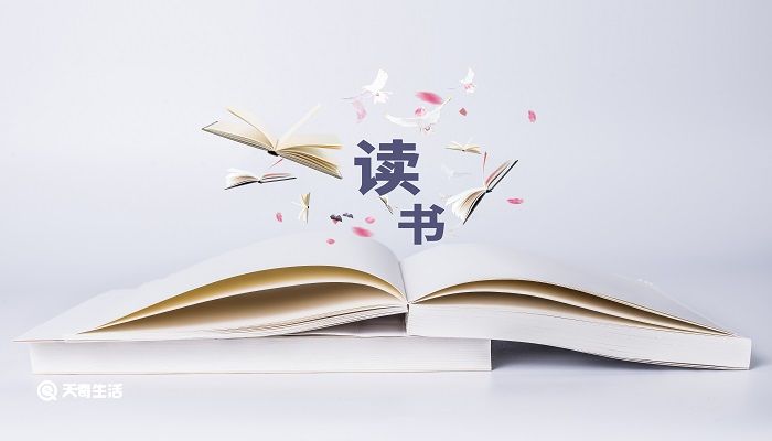 茶花女作者 第2张