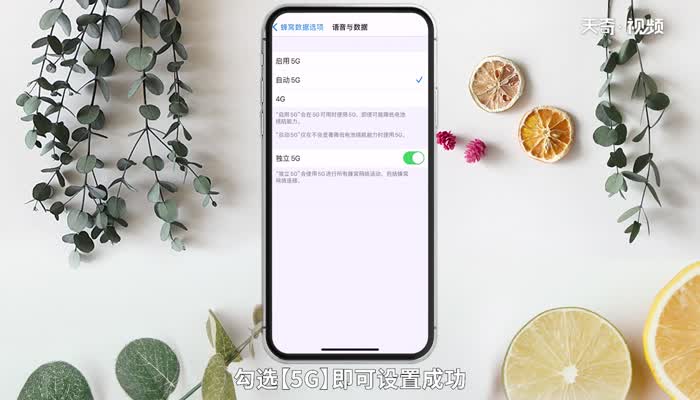 苹果12是5g手机吗 第3张
