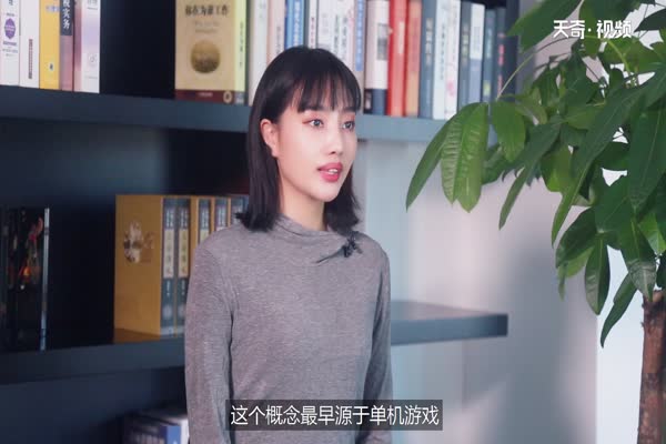 npc是什么意思 第1张