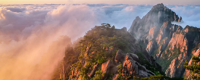 黄山在哪