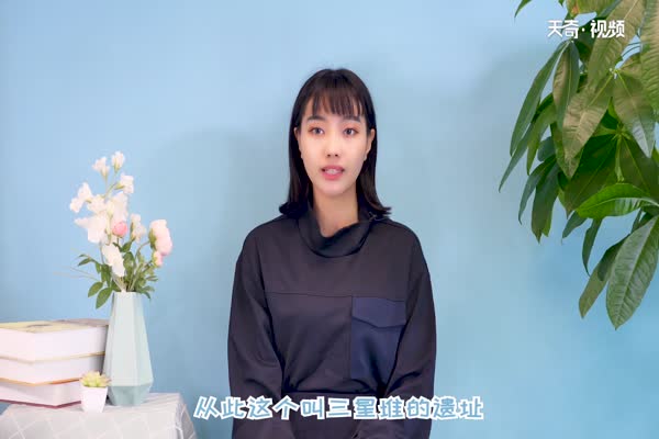 三星堆在哪里个城市 第1张