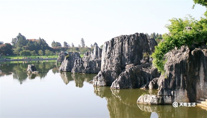 石林在什么地方 第2张