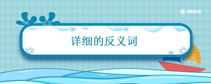 详细的反义词是什么 第1张