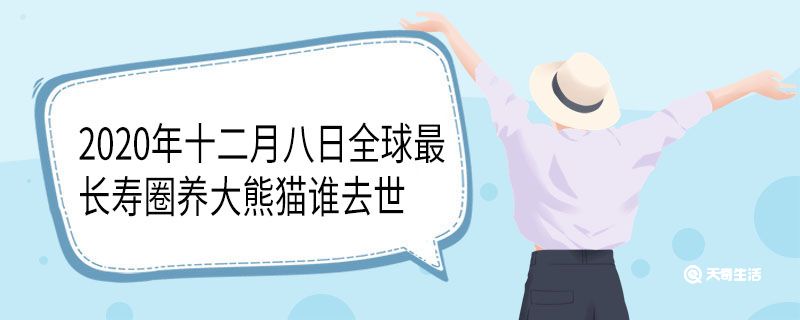 最长寿大熊猫去世 第1张