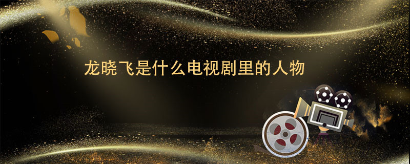 龙晓飞 第1张