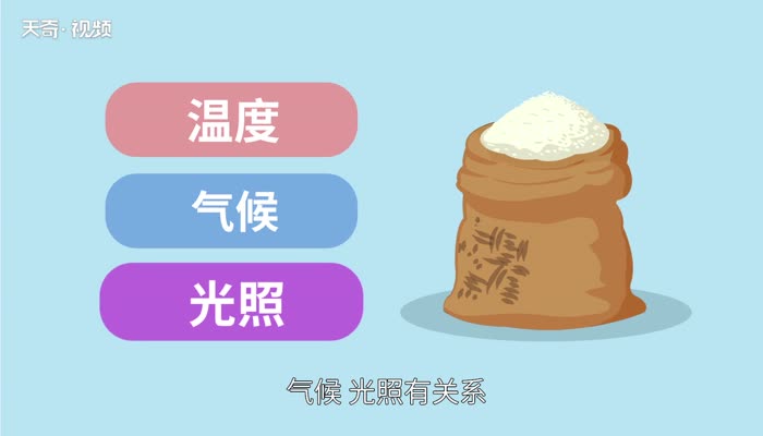 真空大米能存放三年吗 第1张