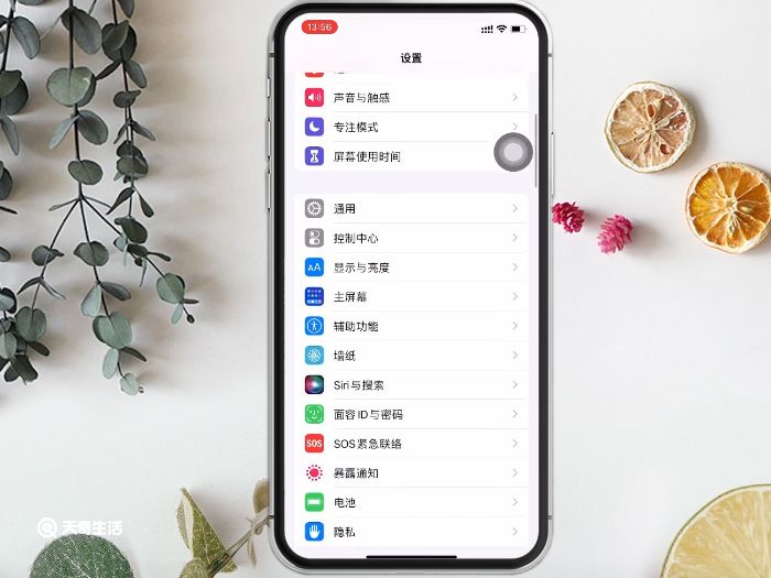 13和13pro的区别 第3张