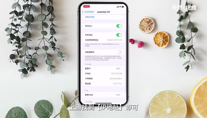 查自己ip 第4张