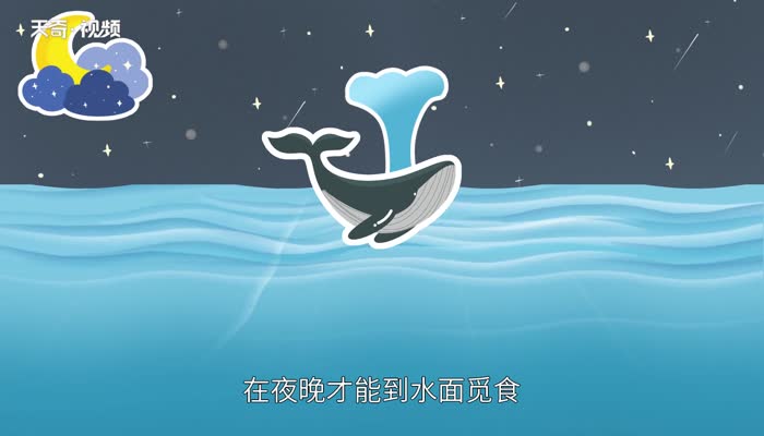 海洋生物有哪些 第2张